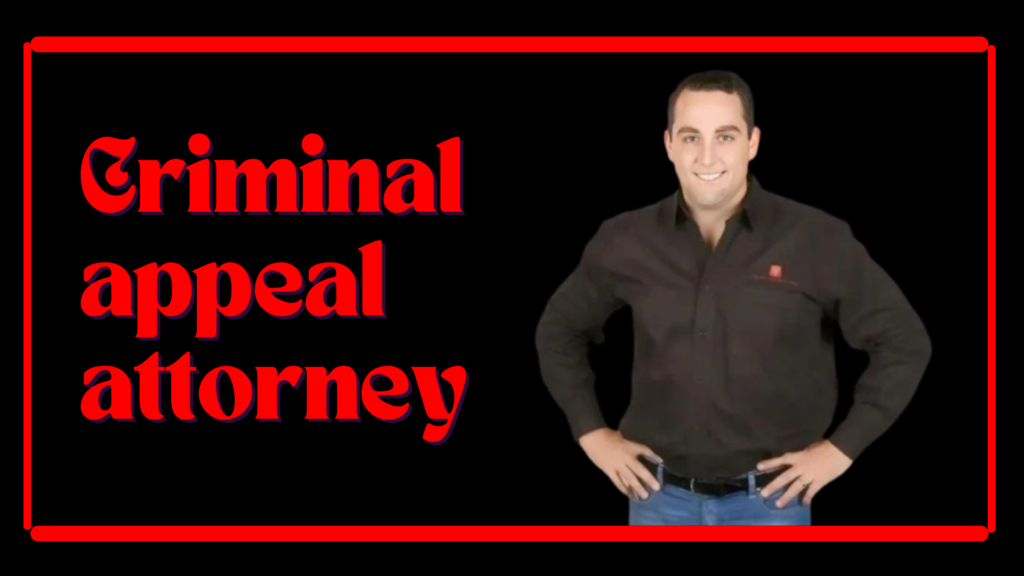 Criminal Appeal Attorney